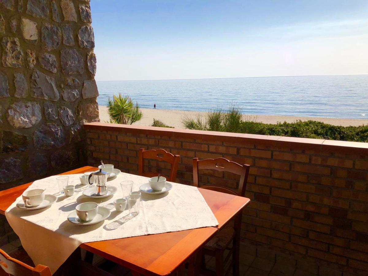 Residence Le Palme - Appartamenti Sul Mare - Spiaggia Tra Palinuro E Caprioli ピショッタ エクステリア 写真