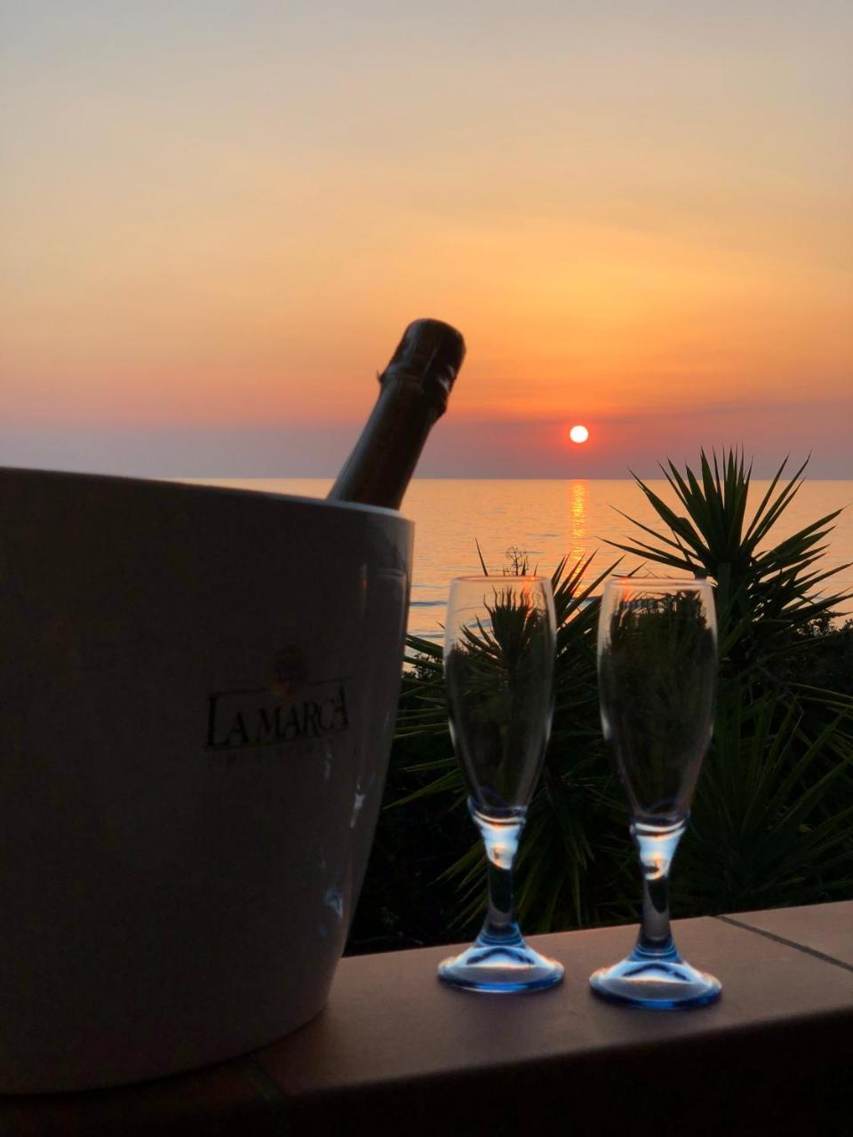 Residence Le Palme - Appartamenti Sul Mare - Spiaggia Tra Palinuro E Caprioli ピショッタ エクステリア 写真